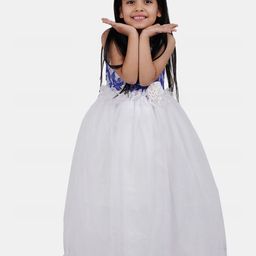 Wish little Net A-Line Maxi Dress-3