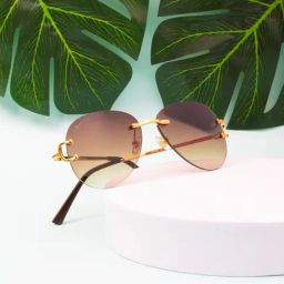 Ted Smith Brown Aviator UV Protection Unisex Sunglasses-image-81
