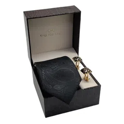 The Tie Hub Men Black Broad Tie-image-13