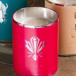Home4U Ladenac Dynastia Senteur Royale Bee Red Wax Jar Candle-38