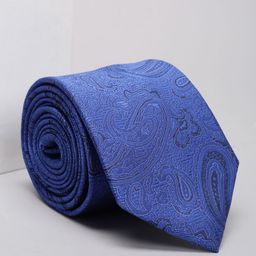 Louis Philippe Men Woven Design Fashion Ties-image-75