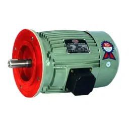 XLO Three Phase 7.5 HP 2 Pole Flange Mounting Cast Iron Induction Motor-image-29