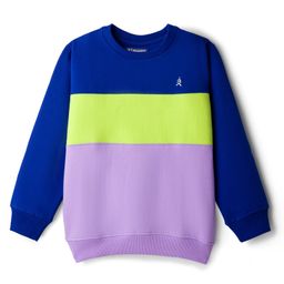 Pine Kids Cotton Knit Full Sleeves Solid Color Cut & Sew Pullover Sweatshirt - Lavender & Blue-picture-1
