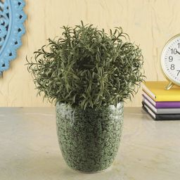 VarEesha Green Hand-Painted Ceramic Small Planter-51
