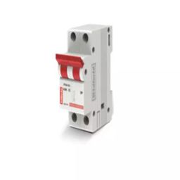 Goldmedal Atlantic 10kA Double Pole 63A Isolator 04361-picture-13