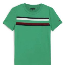 Tommy Hilfiger Kids Coastal Green Striped Regular Fit T-Shirt-image-61