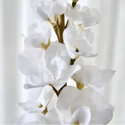 Home Centre White Artificial Delphinium Flower image 3