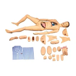 A-ONE SCIENCE PVC Advanced Nursing And Wound Care Manikin AOSBM287-picture-20