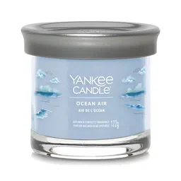YANKEE CANDLE Blue 1 pieces Jar Candle-image-59