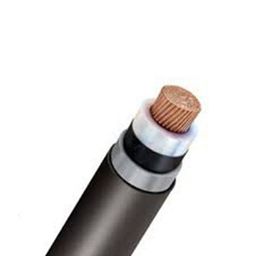 Polycab 16 Sq.mm 1 Core Copper Conductor Armoured LT Power Cable 2XWaY/2XFaY-image-73