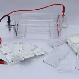 BR Biochem DYCP-31DN Horizontal Electrophoresis Cell System, Total Buffer Volume - 650 ml-36