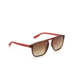 ENRICO Men Brown Lens & Red Wayfarer Sunglasses EN P 4018 C3-74