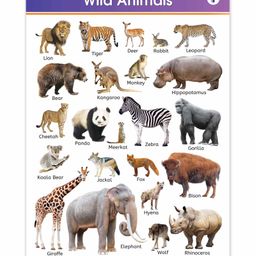 Target Publication Wild Animals Educational Chart - English-14