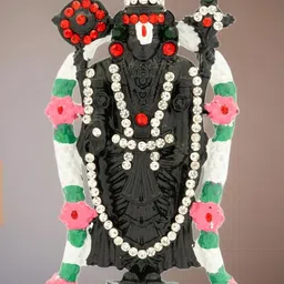 Kulin Black Venkateswara Balaji Showpiece-picture-12