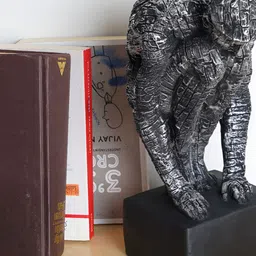 Zart Black Idol Showpiece-picture-0