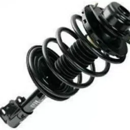 Monroe Rear Shock Absorber for Tata Indigo-picture-47