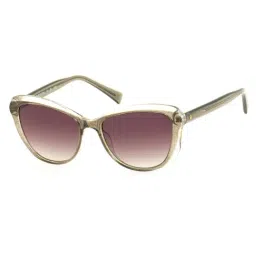 United Colors of Benetton Purple Cat Eye Sunglasses for Women-picture-42