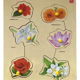 Wooden Flower learning Educational Knob Tray - 6 Pieces-23