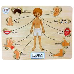 ENJUNIOR BOX -  Wooden Human Body Parts Puzzle without Knobs Educational and Learning Toy for Kids-11