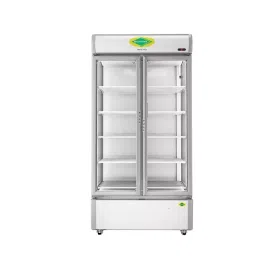 WESTERN Vertical Freezer 807 L Double Door with 10 Sleeves, SRC950HCT-GL-image-77