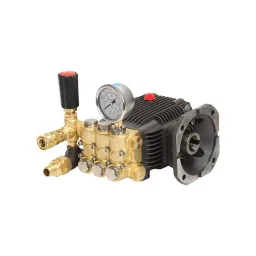 Pilot 3.5 HP High Pressure Plunger Pump 150 Bar With Flange, PL-PP200-image-93