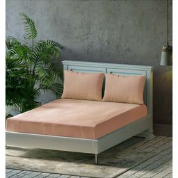 Trance Home Linen Premium Plain Pure Cotton Double King Fitted Bedsheet with 2 Pillow Cover 78 x 72 Inch- Apricot-picture-38