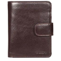 SASSORA Brown Casual Leather Rfid Bi-Fold Wallet for Men-38