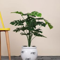 FOLIYAJ Green 1 Pieces Monstera Deliciosa Artificial Plant-43