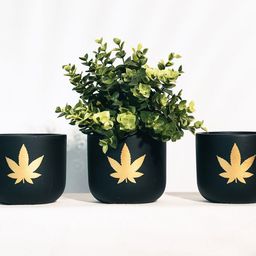 TRUSTBASKET 3-Pcs Black & Yellow Terra Craze Planters-12