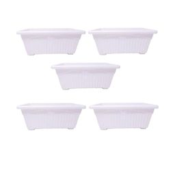 Rectangular Jupiter Flower & Plants Pots-16