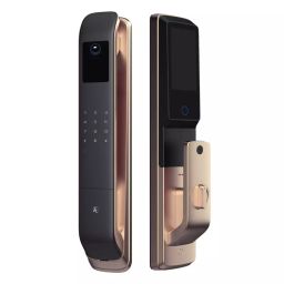 A2 SWEDEN Smart Lock Upto 20 Face Scan & Upto 100 Fingerprint Champagne Gold, VISO CG-1