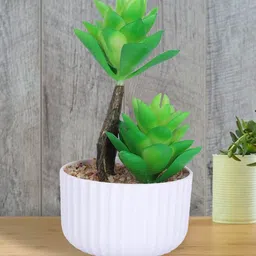 Ekhasa Green 1 Pieces Artificial Plant With Pot-14