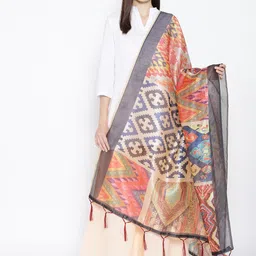Shaily Multicoloured Printed Dupatta-29