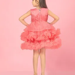 Aarika Net A-Line Dress image 3