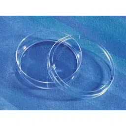 Borosilicate 150 mm Glass Petri Dish (Pack of 2)-22