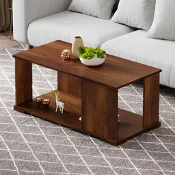 bluewud Noel Brown Textured Wooden Rectangle Coffee Table-28