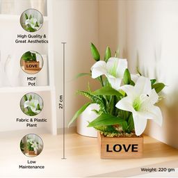 UMAI White & Green Lily Artificial Flower With Pot image 4