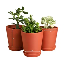 The handicraftian 4-Pcs Brown Medium Cone Planter image 3