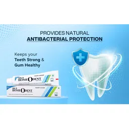 SBL Set Of 3 Homeodent Tooth Paste - Saunf Flavour - 100 g Each image 5