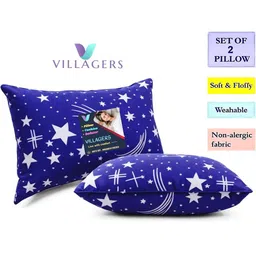 VILLAGERS Set of 2 Blue Polyester Pillows-picture-21