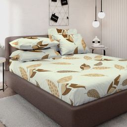 KLOTTHE White & Brown Floral Printed 300 TC Fitted Double King Bedsheet & 4 Pillow Cover-image-24