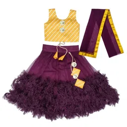 BAESD Girls Fringed Detail Lehenga & Striped Blouse With Dupatta-picture-1