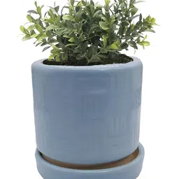 INDIA MEETS INDIA Blue Ceramic Planter With Cup Plate-image-75