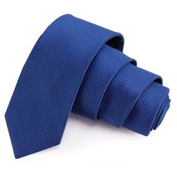 PELUCHE Men Blue Woven Design Skinny Tie-image-71