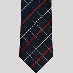 The Tie Hub Men Checked Silk Broad Tie-31