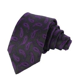 Alvaro Castagnino Men Black & Purple Woven Design Broad Tie-image-92