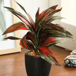 PolliNation Red & Black Artificial Bonsai Plants With Pot-53