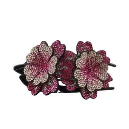 MIZORRI Women Pink & Silver-Toned Claw Clip-picture-48