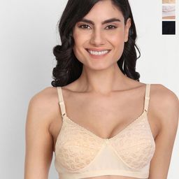 T.T. Pack Of 3 Breathable T-Shirt Bra Full Coverage Lightly Padded With Transparent Strap-image-38
