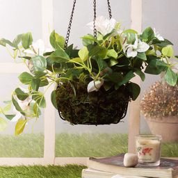 PolliNation White & Green Bougainvillea Flower Hanging Creeper With Hanging Stand-44